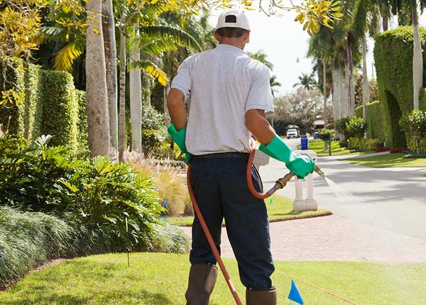 About Mount Holly VT Pest Control Pros